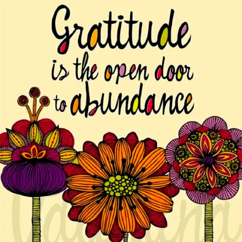 Gratitude is the open door of abundance